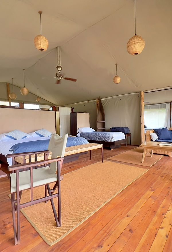 Selous Impala Camp