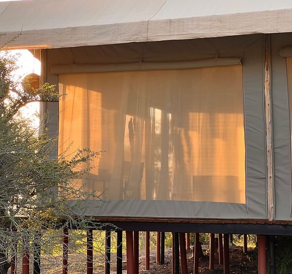 Selous Impala Camp
