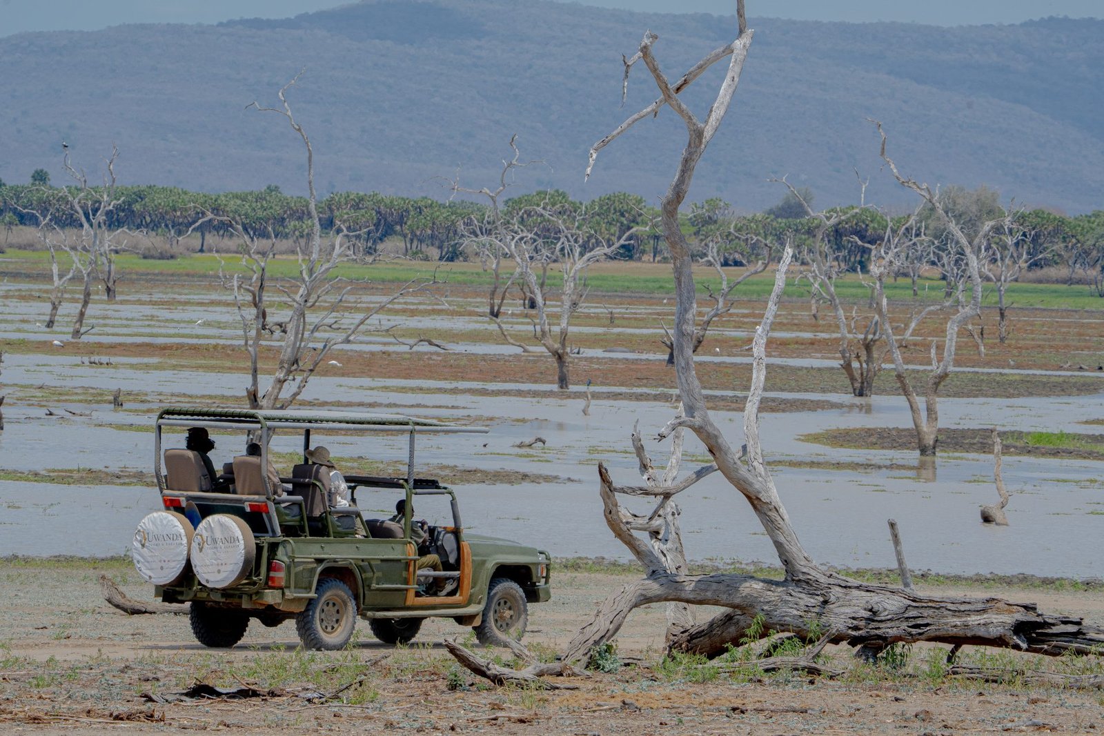 2-Day Flying Zanzibar to Nyerere National Park