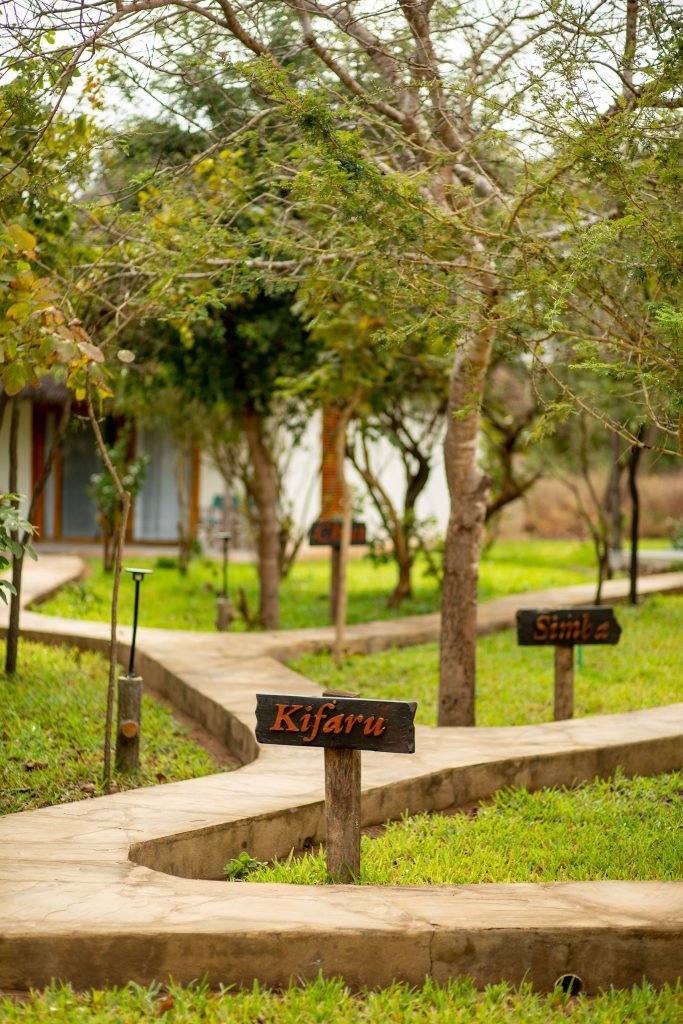 Selous Safari Lodge