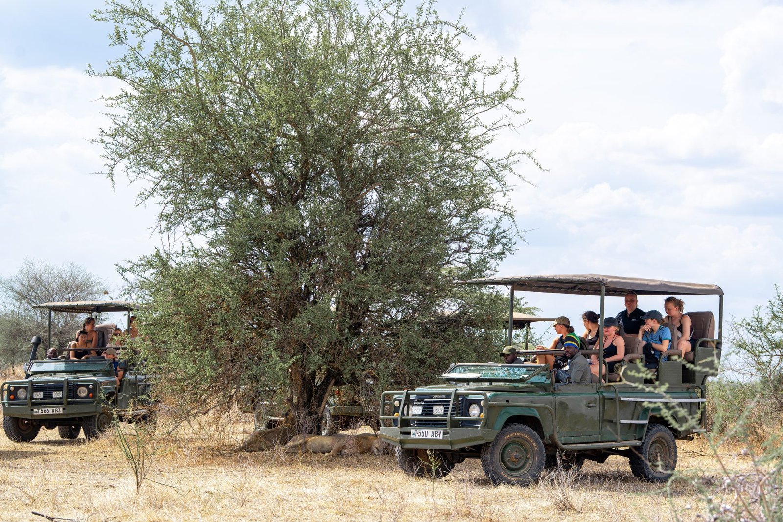 3-Day Luxury Safari from Zanzibar to Nyerere NP