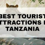 Best tourist Attractions in Tanzania
