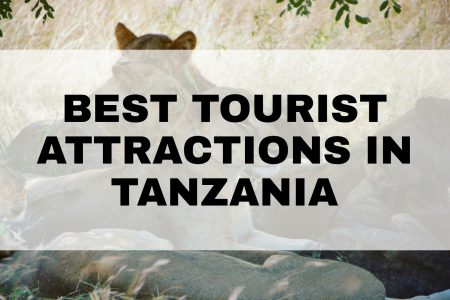 Best tourist Attractions in Tanzania