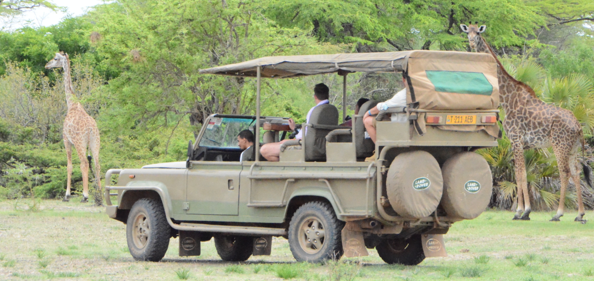 Full-day Game Drive on Different Routes in Nyerere National Park (Selous GR) & Visit Hotspring