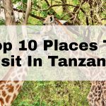 Top 10 Places to Visit in Tanzania
