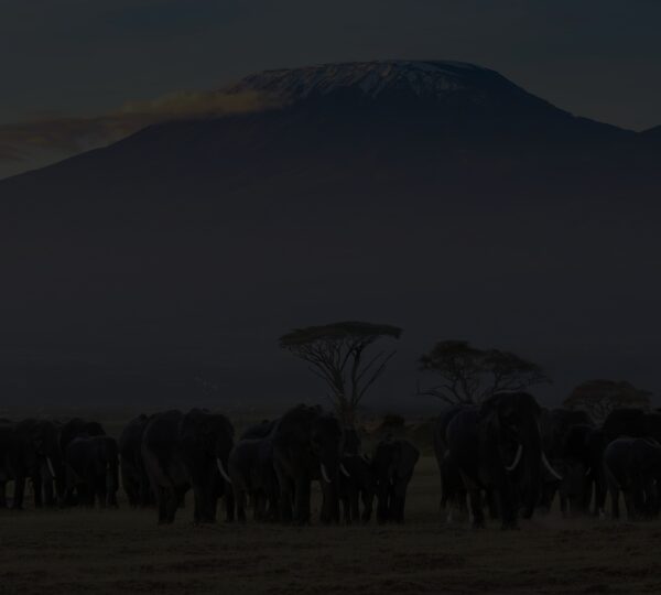 Top 10 Places to Visit in Tanzania
