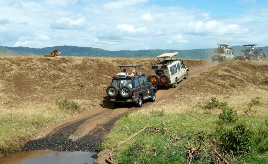 Tanzania Safari Tours 15 Best Place To Visit