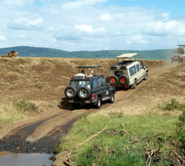 Tanzania Safari Tours 15 Best Place To Visit 